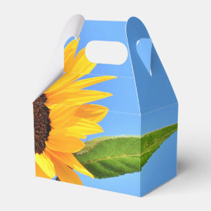 Ballotins Tournesol contre soleil sur ciel bleu - Jour d'été