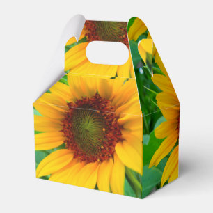 Ballotins Tournesol vif