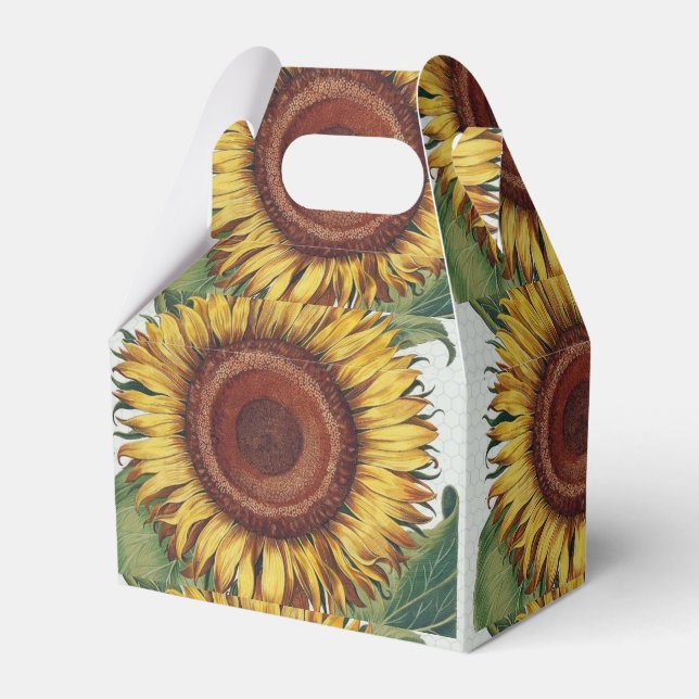 Ballotins Tournesol Vintage Damas Fleur Art (Verso)