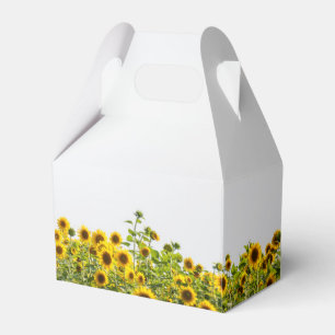 Ballotins Tournesols dans un domaine