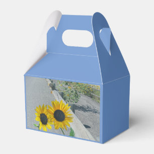Ballotins Tournesols sur la route "marcher dans l'amour" mar