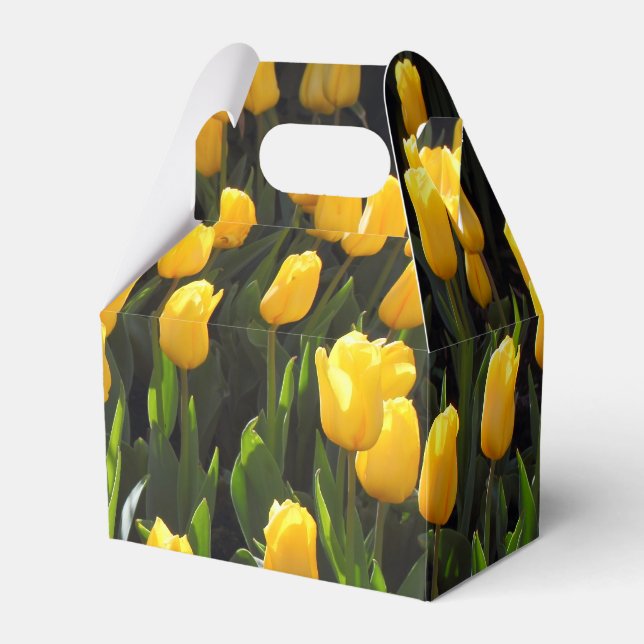 Ballotins Tulipes jaunes (Verso)
