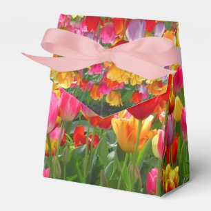 Ballotins Tulipes roses jaunes de rouge orange