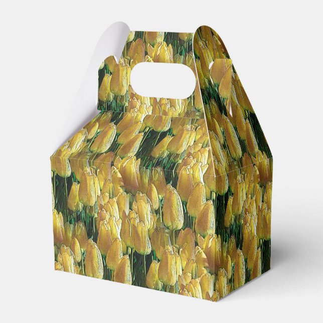 Ballotins Tulips Sunshine Yellow (Verso)