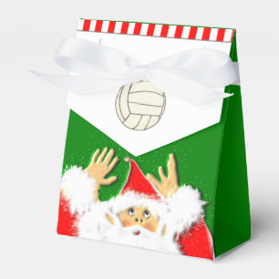 Ballotins Vacances de Noël de volley-ball