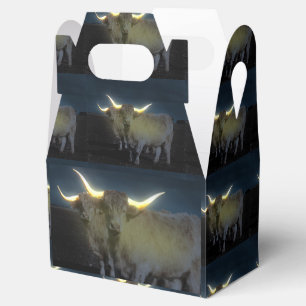 Ballotins Vaches Highland Qui Jaillissent Dans L'obscurité, 