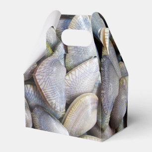 Ballotins Venus Clam [ห อ ย ล า ย]