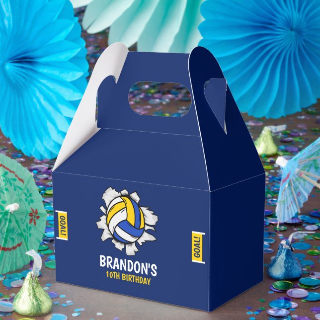 Ballotins Volleyball Funny Birthday Boy (Fête)