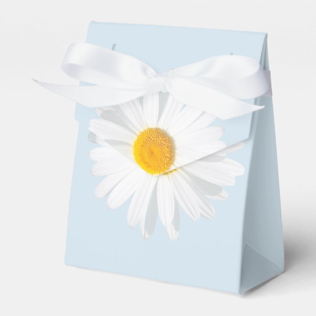 Ballotins White (Verso)