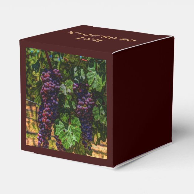 Ballotins Winery Grapevine sunny tuscany vineyard (Arrière)