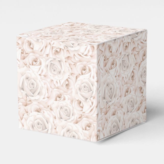 Ballotins Zone de préférence du parti (Verso)