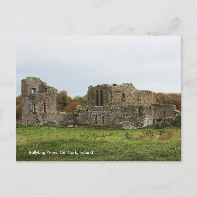 Ballybeg Priory, Irland Postcard Postkarte (Vorderseite)