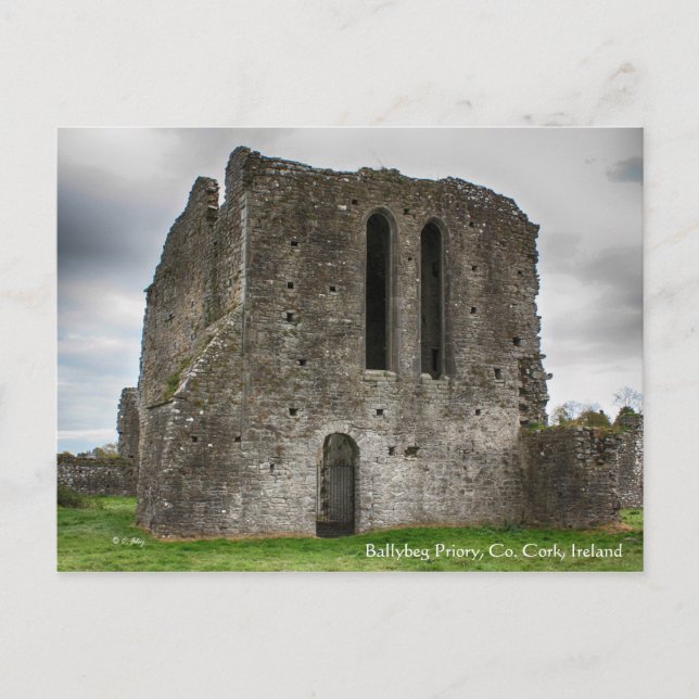 Ballybeg Priory, Irland Postcard Postkarte (Vorderseite)