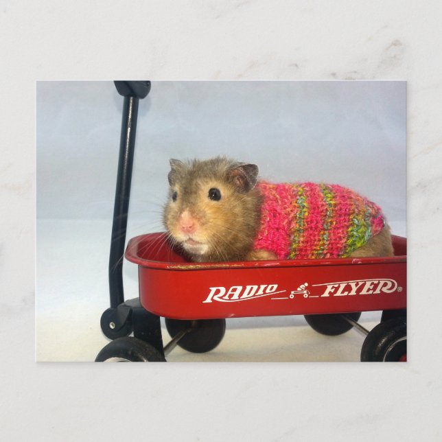 Baloo geht auf Wagenfahrt Postkarte (Vorderseite)