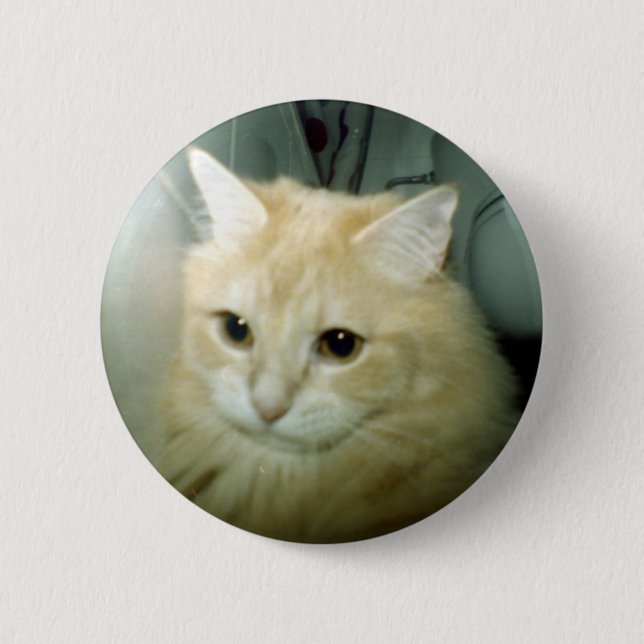 Baloo Knopf Button (Vorderseite)