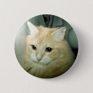 Baloo Knopf Button