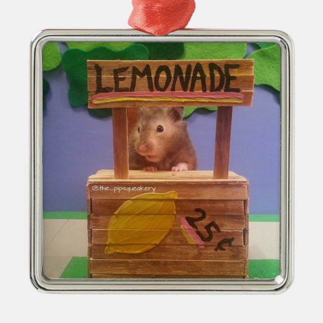 Baloos Limonadestand Silbernes Ornament (Vorne)