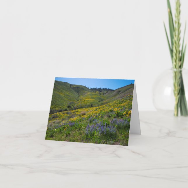 Balsam und Lupine-Frühling blühen leer Karte (Vorderseite)