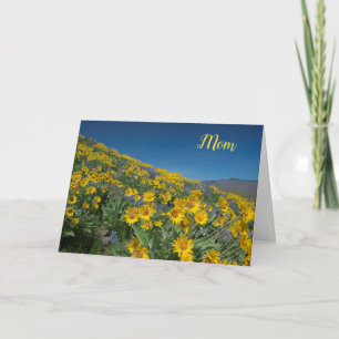 Balsamroot bloom Muttertag Karte