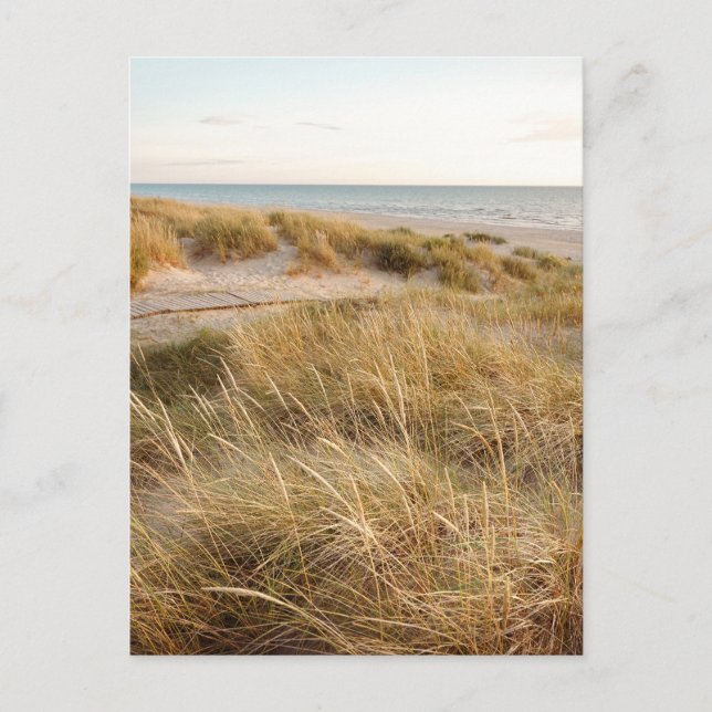 Baltic sea beach in Liepaja, Latvia Postkarte (Vorderseite)