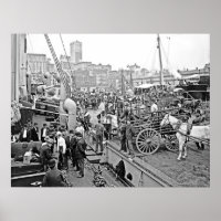 Baltimore Banana Boote