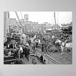 Baltimore-Bananen-Boote Poster