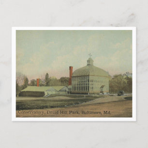 Baltimore MD Druid Hill Park Conservatory 1910 Postkarte
