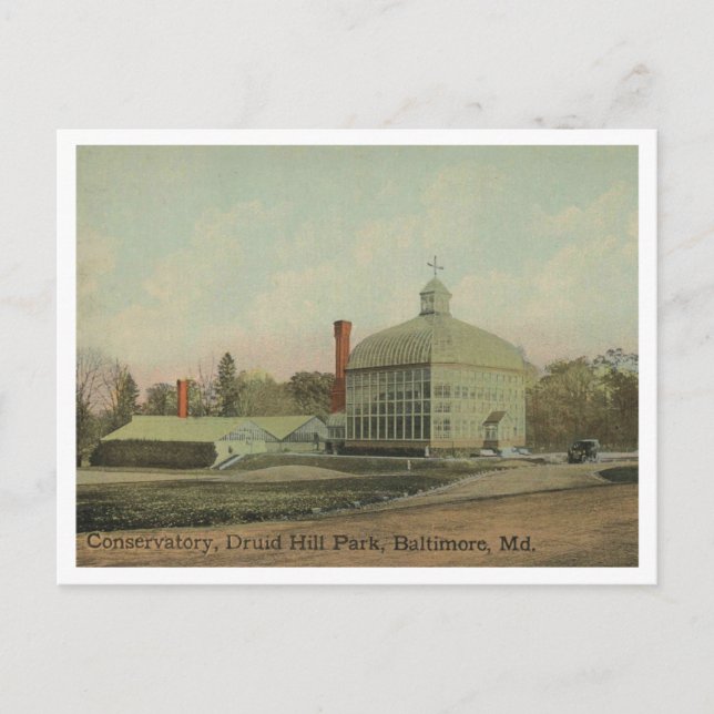 Baltimore MD Druid Hill Park Conservatory 1910 Postkarte (Vorderseite)