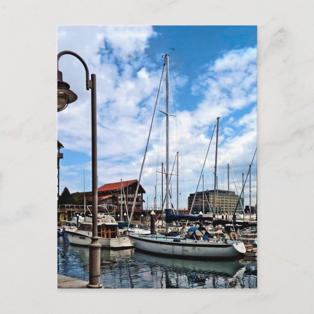 Baltimore MD - Marina in der Nähe von Fells Point Postkarte (Vorderseite)