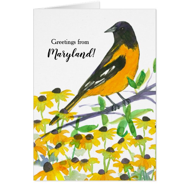 Baltimore Oiseau Oriole Maryland Souvenir (Devant)