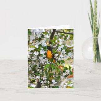 Baltimore Oriole #1 - Carte à billets vierges