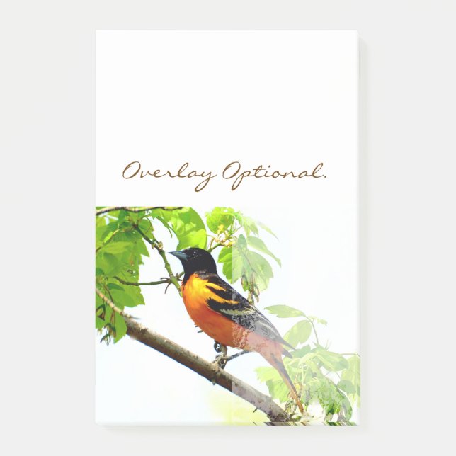 Baltimore Oriole 1 Post-it Klebezettel (Vorderseite)