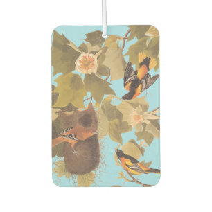 Baltimore Oriole Audubon Bird Familie mit Nest Autolufterfrischer