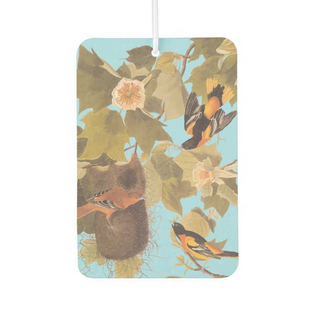 Baltimore Oriole Audubon Bird Familie mit Nest Autolufterfrischer (Vorderseite)