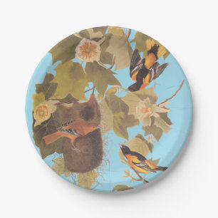 Baltimore Oriole Audubon Bird Familie mit Nest Pappteller