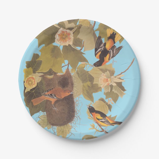 Baltimore Oriole Audubon Bird Familie mit Nest Pappteller (Vorderseite)