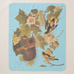 Baltimore Oriole Audubon Bird Familie mit Nest Sherpadecke