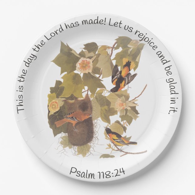 Baltimore Oriole Audubon Birds in Poplar Tree Pappteller (Vorderseite)