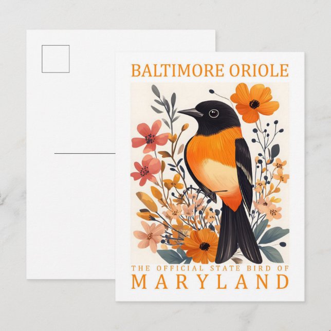 Baltimore Oriole Bird of Maryland USA Travel Postkarte (Vorne/Hinten)