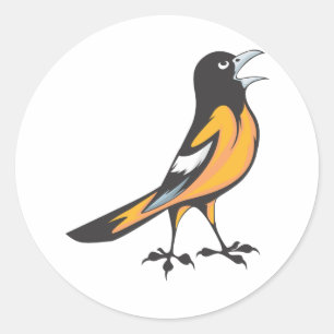 Baltimore Oriole Bird Runder Aufkleber