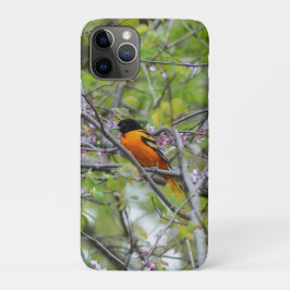Baltimore Oriole Case-Mate iPhone Hülle