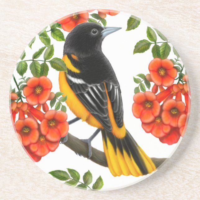 Baltimore Oriole dans des dessous de verre de (Devant)