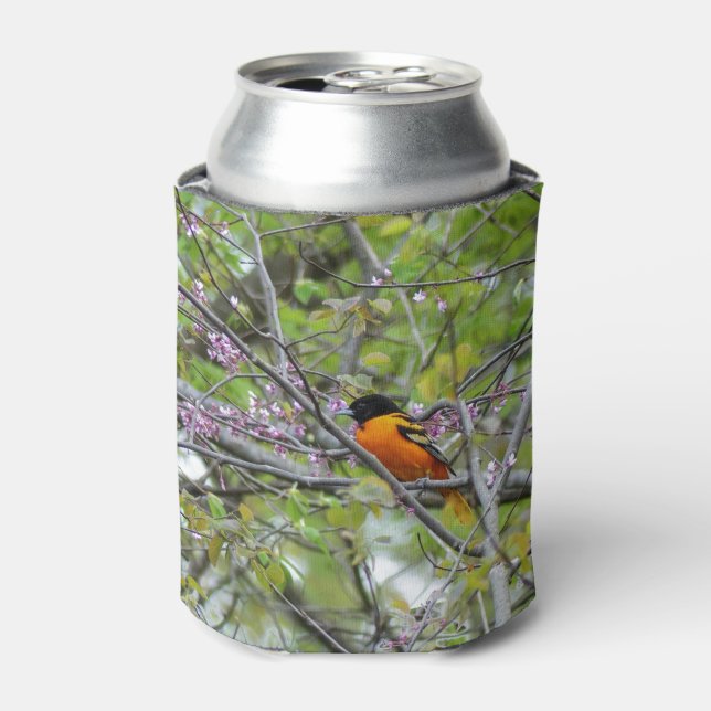 Baltimore Oriole Dosenkühler (Kanne Vorderseite)