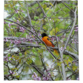 Baltimore Oriole Duschvorhang