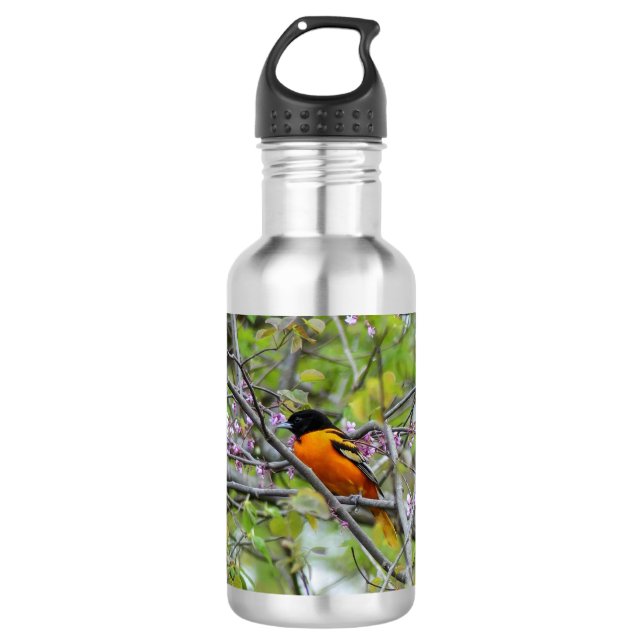 Baltimore Oriole Edelstahlflasche (Vorderseite)