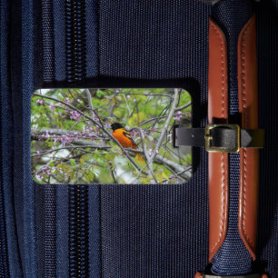 Baltimore Oriole Gepäckanhänger