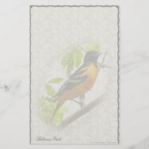 Baltimore Oriole-Gewohnheits-Briefpapier Briefpapier