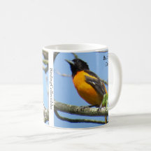 Baltimore Oriole Kaffee Tasse von BirdingCollectib