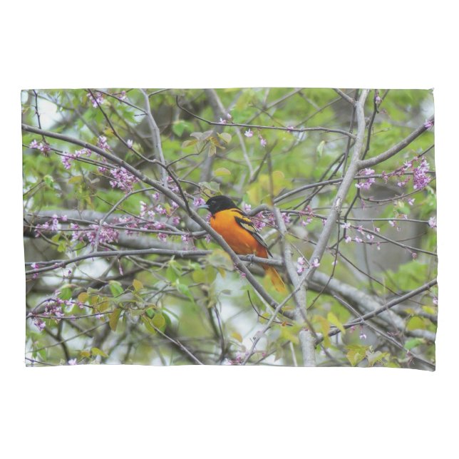 Baltimore Oriole Kissenbezug (Vorderseite)
