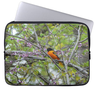 Baltimore Oriole Laptopschutzhülle